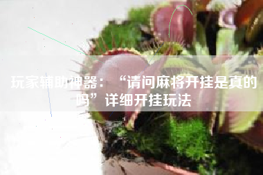 玩家辅助神器：“请问麻将开挂是真的吗”详细开挂玩法