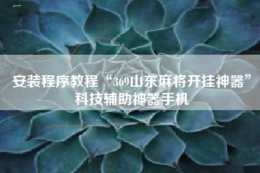 安装程序教程“369山东麻将开挂神器”科技辅助神器手机