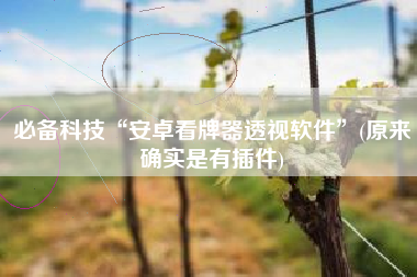 必备科技“安卓看牌器透视软件”(原来确实是有插件)