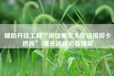 辅助开挂工具“微信青龙大厅链接房卡透视	”(曝光透视必备猫腻