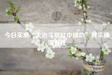 今日实测“大冶斗棋红中辅助”其实确实有挂