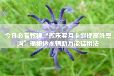 今日必看教程“微乐买月卡能提高胜率吗”揭秘透视辅助万能挂用法