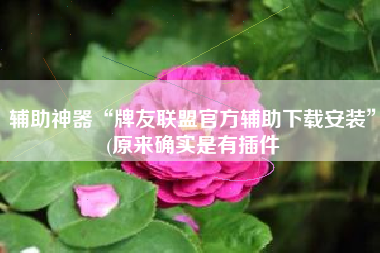 辅助神器“牌友联盟官方辅助下载安装”(原来确实是有插件
