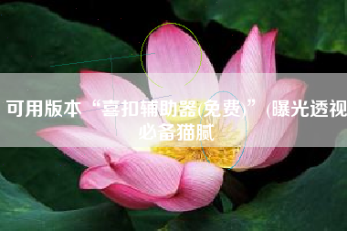 可用版本“喜扣辅助器(免费)	”(曝光透视必备猫腻