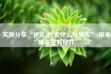 实测分享“扑克9代表什么卦象呢”(原来确实是有插件