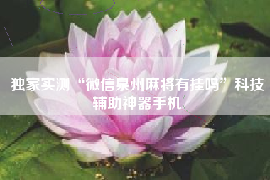 独家实测“微信泉州麻将有挂吗”科技辅助神器手机