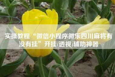 实操教程“微信小程序微乐四川麻将有没有挂	”开挂(透视)辅助神器