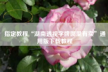 指定教程“湖南透视字牌哪里有卖”通用版下载教程