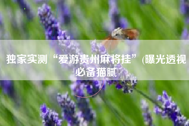 独家实测“爱游贵州麻将挂”(曝光透视必备猫腻