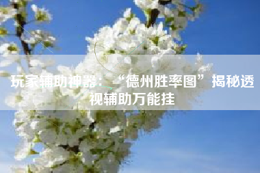 玩家辅助神器：“德州胜率图	”揭秘透视辅助万能挂