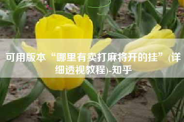 可用版本“哪里有卖打麻将开的挂	”(详细透视教程)-知乎