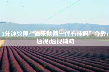 3分钟教程“微乐陕西三代有挂吗”作弊(透视)透视辅助