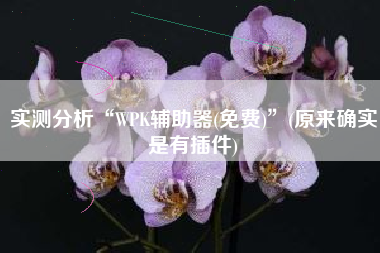 实测分析“WPK辅助器(免费)”(原来确实是有插件)