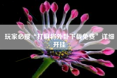 玩家必搜“打麻将外卦下载免费	”详细开挂