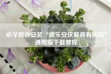 必学教你安装“微乐安庆麻将有挂吗	”通用版下载教程