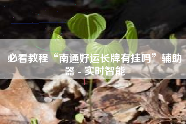 必看教程“南通好运长牌有挂吗	”辅助器 - 实时智能
