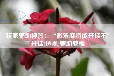 玩家辅助神器：“微乐麻将能开挂不	”开挂(透视)辅助教程