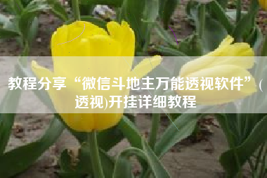 教程分享“微信斗地主万能透视软件”(透视)开挂详细教程