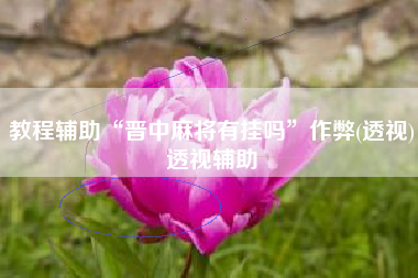 教程辅助“晋中麻将有挂吗	”作弊(透视)透视辅助