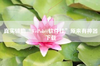 真实辅助“WePoker软件挂	”原来有神器下载