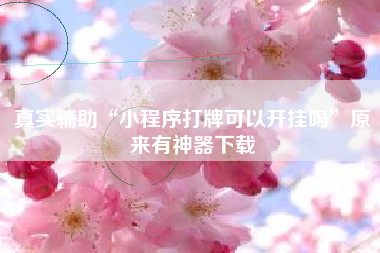 真实辅助“小程序打牌可以开挂吗	”原来有神器下载