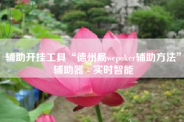 辅助开挂工具“德州局wepoker辅助方法	”辅助器 - 实时智能