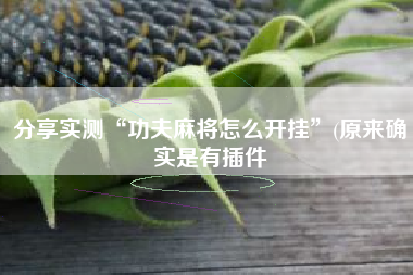 分享实测“功夫麻将怎么开挂	”(原来确实是有插件