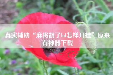 真实辅助“麻将胡了hd怎样开挂	”原来有神器下载