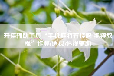 开挂辅助工具“手机麻将有挂吗 视频教程”作弊(透视)透视辅助