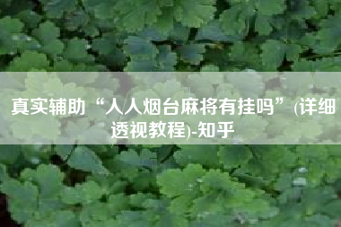 真实辅助“人人烟台麻将有挂吗”(详细透视教程)-知乎