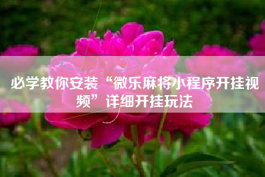 必学教你安装“微乐麻将小程序开挂视频”详细开挂玩法