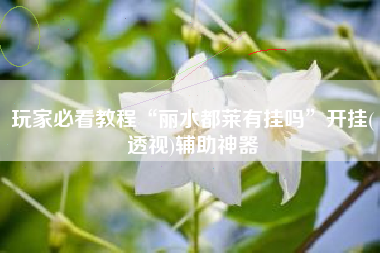 玩家必看教程“丽水都莱有挂吗”开挂(透视)辅助神器