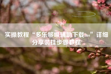 实操教程“多乐够级辅助下载ios”详细分享装挂步骤教程