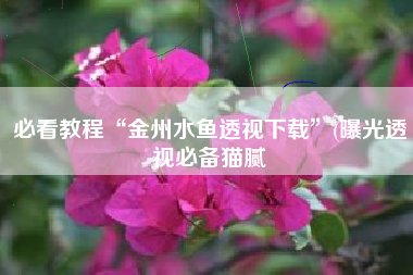 必看教程“金州水鱼透视下载”(曝光透视必备猫腻