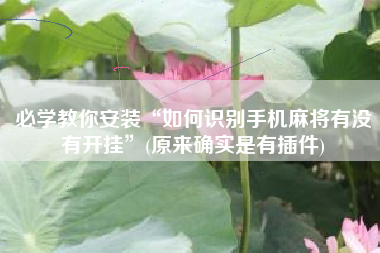 必学教你安装“如何识别手机麻将有没有开挂	”(原来确实是有插件)