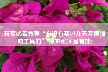 玩家必看教程“有没有买过九五互娱辅助工具的”(原来确实是有挂)