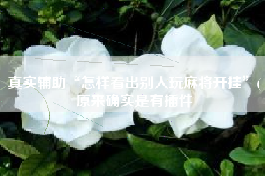 真实辅助“怎样看出别人玩麻将开挂”(原来确实是有插件