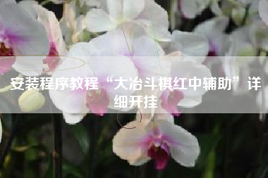 安装程序教程“大冶斗棋红中辅助”详细开挂