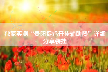 独家实测“贵阳捉鸡开挂辅助器”详细分享装挂