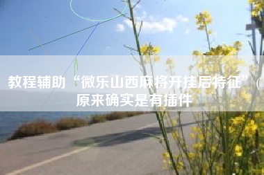 教程辅助“微乐山西麻将开挂后特征”(原来确实是有插件