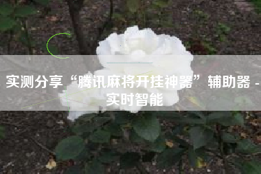 实测分享“腾讯麻将开挂神器”辅助器 - 实时智能