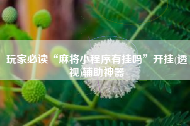 玩家必读“麻将小程序有挂吗”开挂(透视)辅助神器
