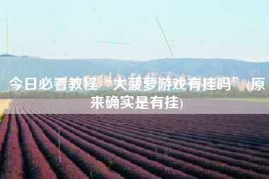 今日必看教程“大菠萝游戏有挂吗	”(原来确实是有挂)