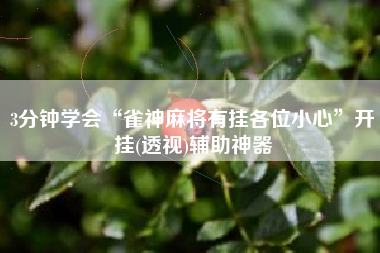 3分钟学会“雀神麻将有挂各位小心”开挂(透视)辅助神器
