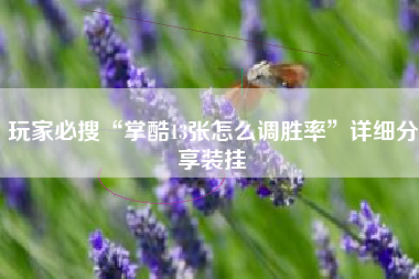 玩家必搜“掌酷13张怎么调胜率	”详细分享装挂