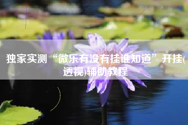 独家实测“微乐有没有挂谁知道”开挂(透视)辅助教程