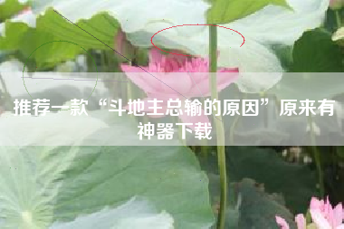 推荐一款“斗地主总输的原因”原来有神器下载