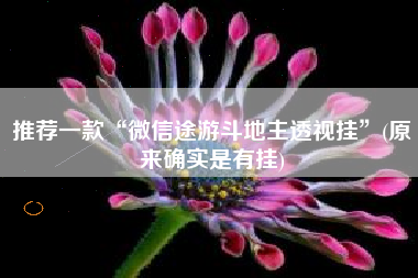 推荐一款“微信途游斗地主透视挂”(原来确实是有挂)