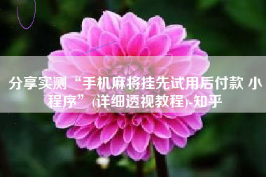 分享实测“手机麻将挂先试用后付款 小程序”(详细透视教程)-知乎