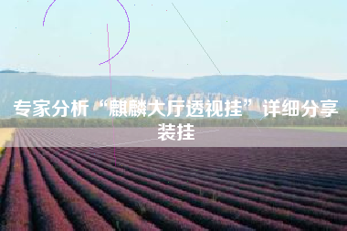 专家分析“麒麟大厅透视挂”详细分享装挂